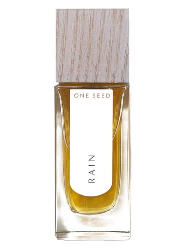 Rain by One Seed