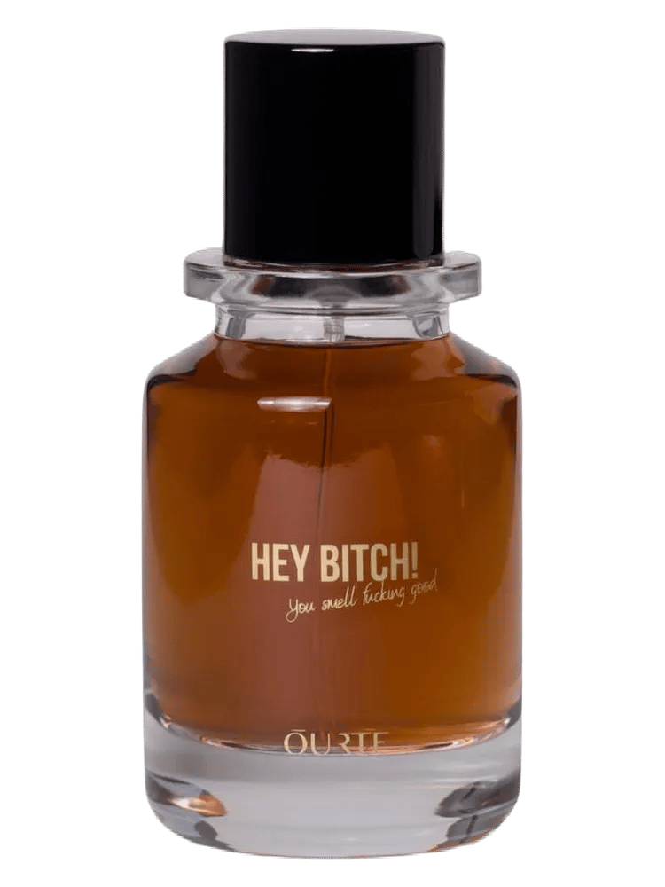 HEY BITCH! by ŌURTE