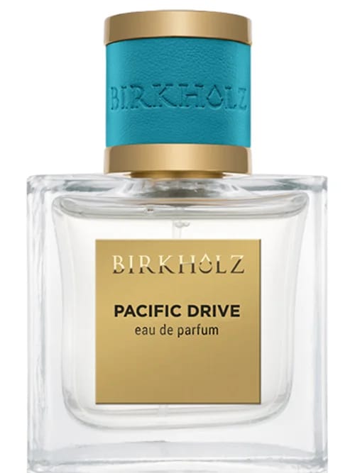 Pacific Drive by Birkholz