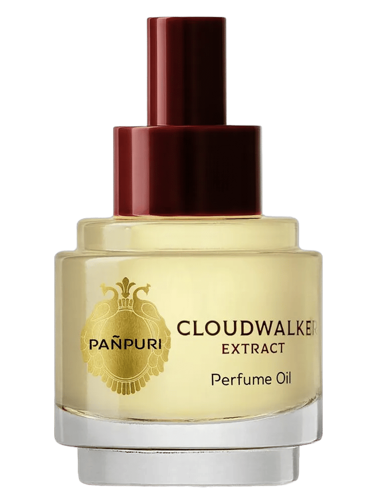 Cloudwalker by Pañpuri