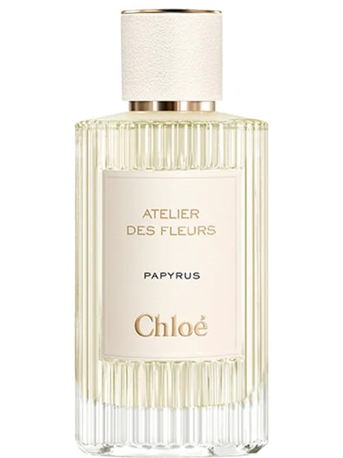 Papyrus by Chloé