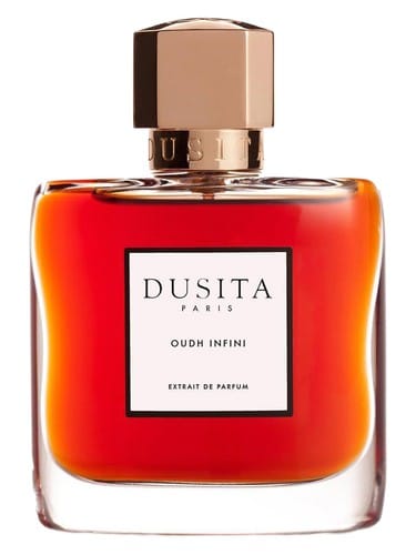 Oudh Infini by Parfums Dusita