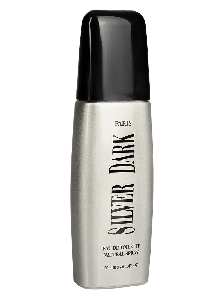 Dark Silver by Parfums Guy Alari
