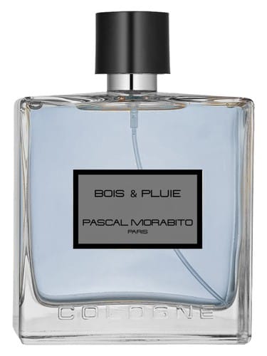 Bois & Pluie by Pascal Morabito