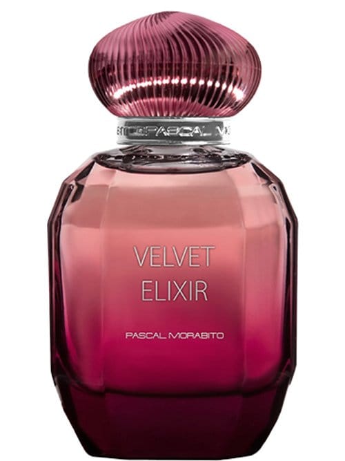 Velvet Elixir by Pascal Morabito