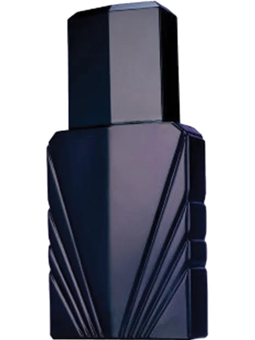Passion For Men by Elizabeth Taylor