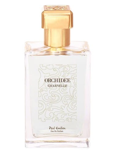 Orchidée Charnelle by Paul Emilien