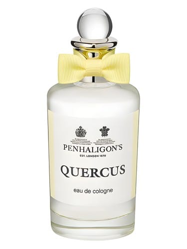 Quercus