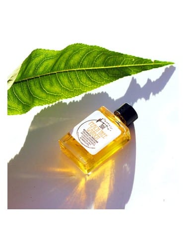 Peach Tree Garden by Phoenix Botanicals