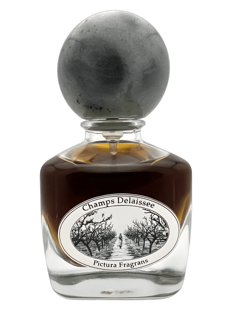Champs Délaissée by Pictura Fragrans