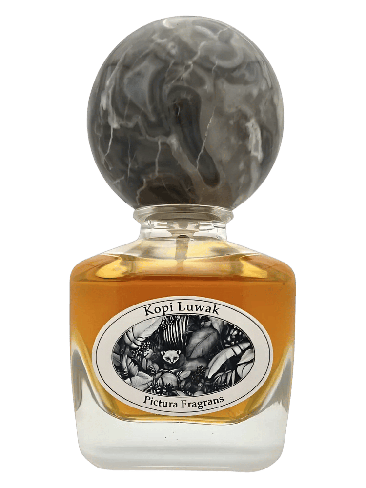Kopi Luwak by Pictura Fragrans
