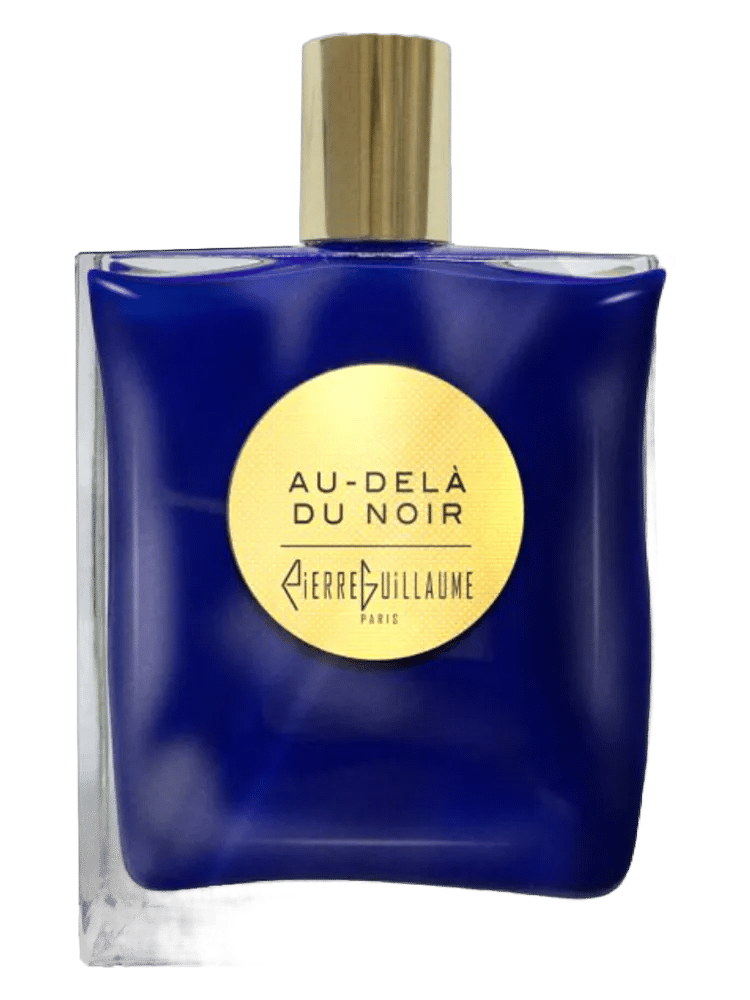Au Delà Du Noir by Pierre Guillaume Paris