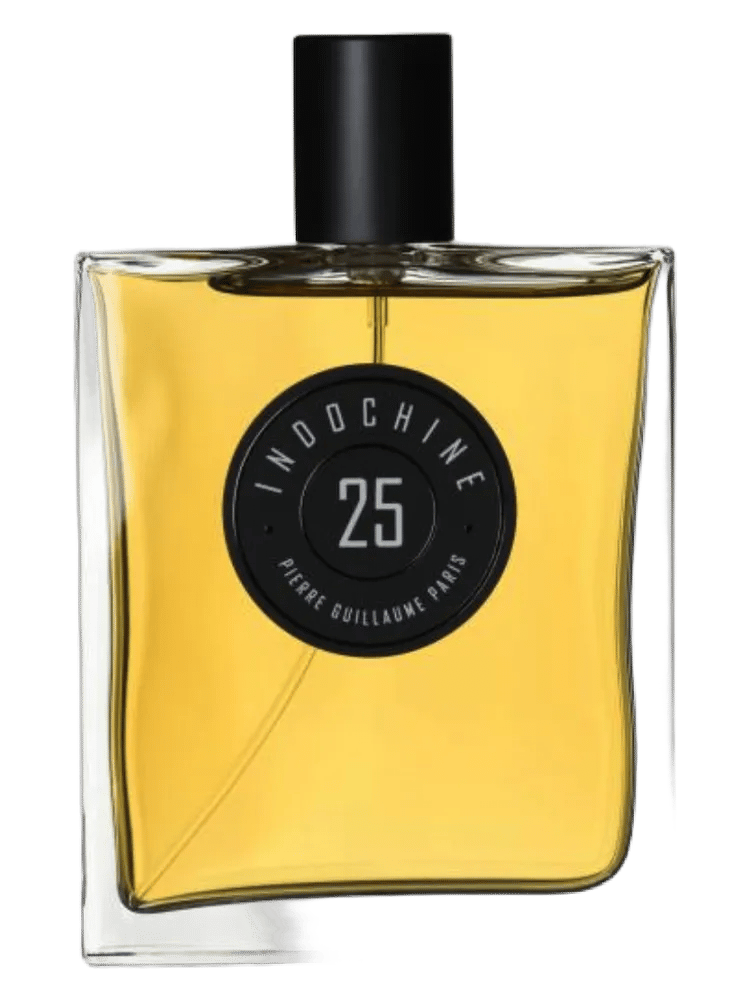 Indochine 25 by Pierre Guillaume Paris