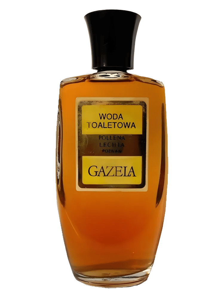 Gazela by Pollena Lechia