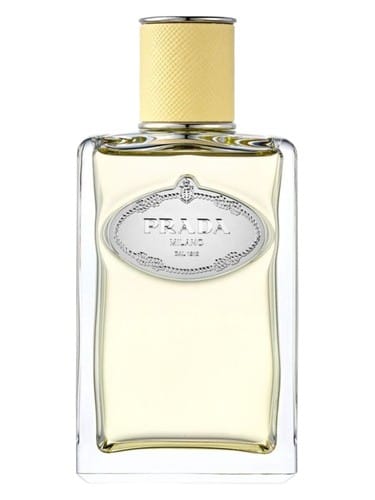 Infusion De Mimosa by Prada