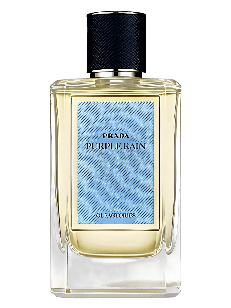 Purple Rain by Prada