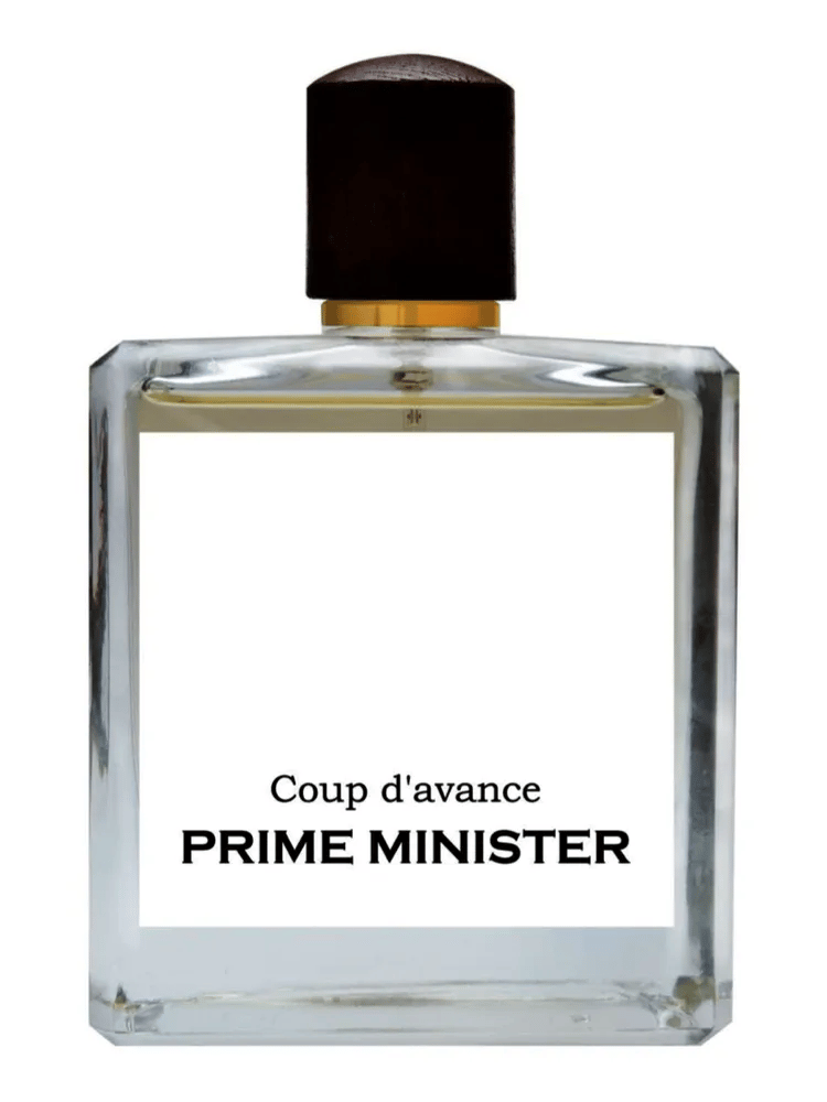 Coup d'avance by Prime Minister