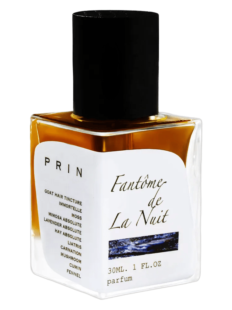 Fantôme De La Nuit by Prin
