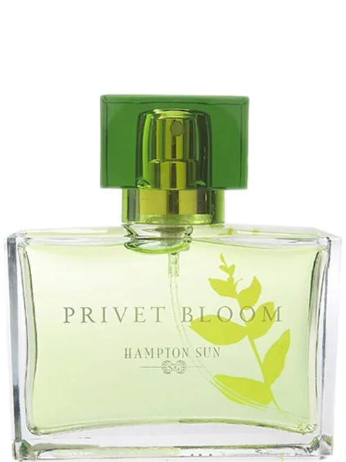 Pure Discovery by Nautica
