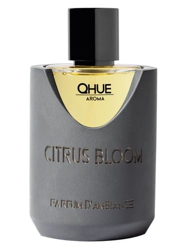 Citrus Bloom by Qhue