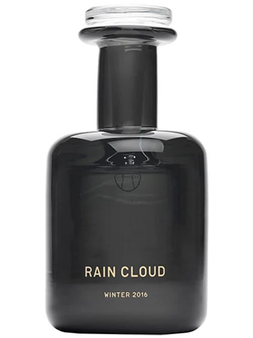 Rain Cloud by Perfumer H