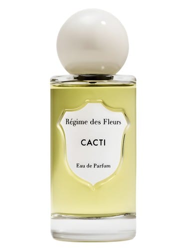 Cacti by Régime des Fleurs