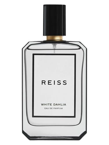 White Dahlia by Reiss