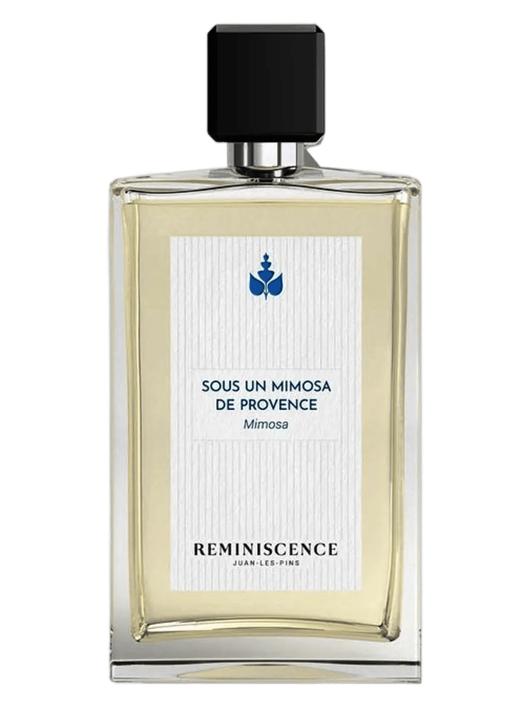 Sous Un Mimosa De Provence by Reminiscence