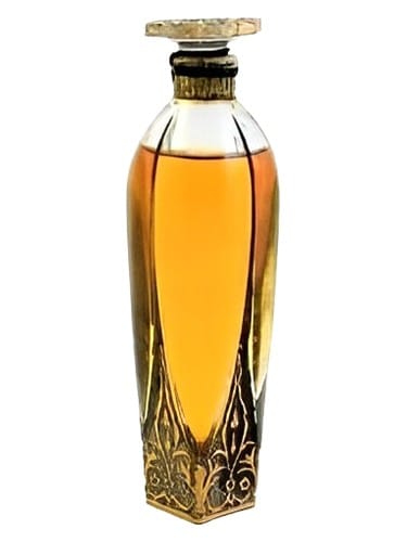 L'Ambre by Rigaud