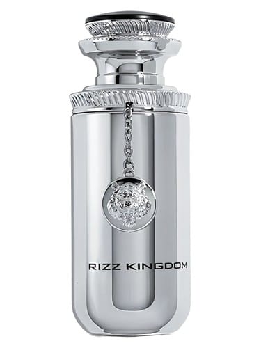 Rizz Kingdom by Rizz