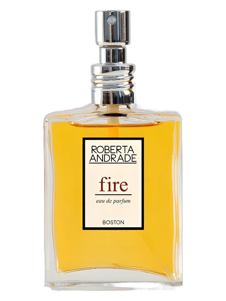 Fire by Roberta Andrade