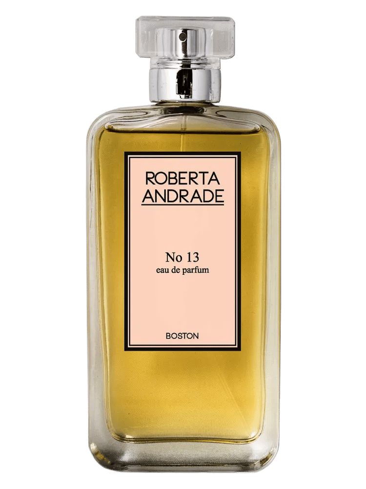 No 13 by Roberta Andrade