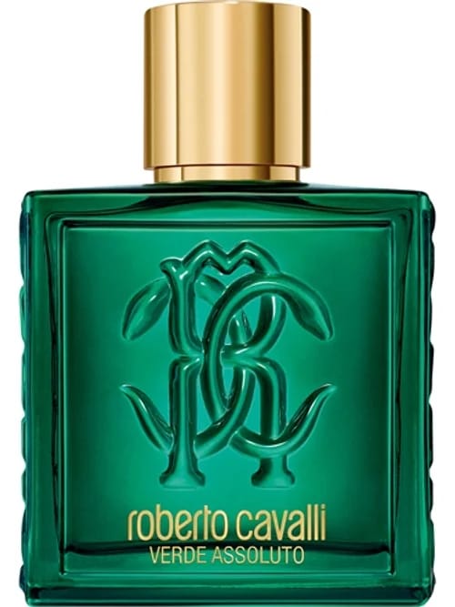 Uomo Verde Assoluto by Roberto Cavalli