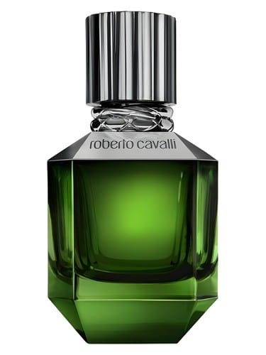 Paradise Found For Men by Roberto Cavalli