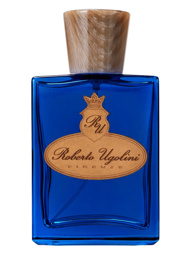 Blue Suede Shoes by Roberto Ugolini
