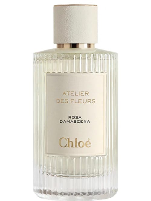 Rosa Damascena by Chloé