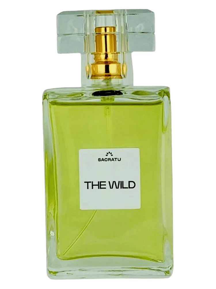 The Wild by Sacratu