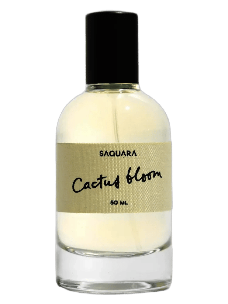 Cactus Bloom by Saguara