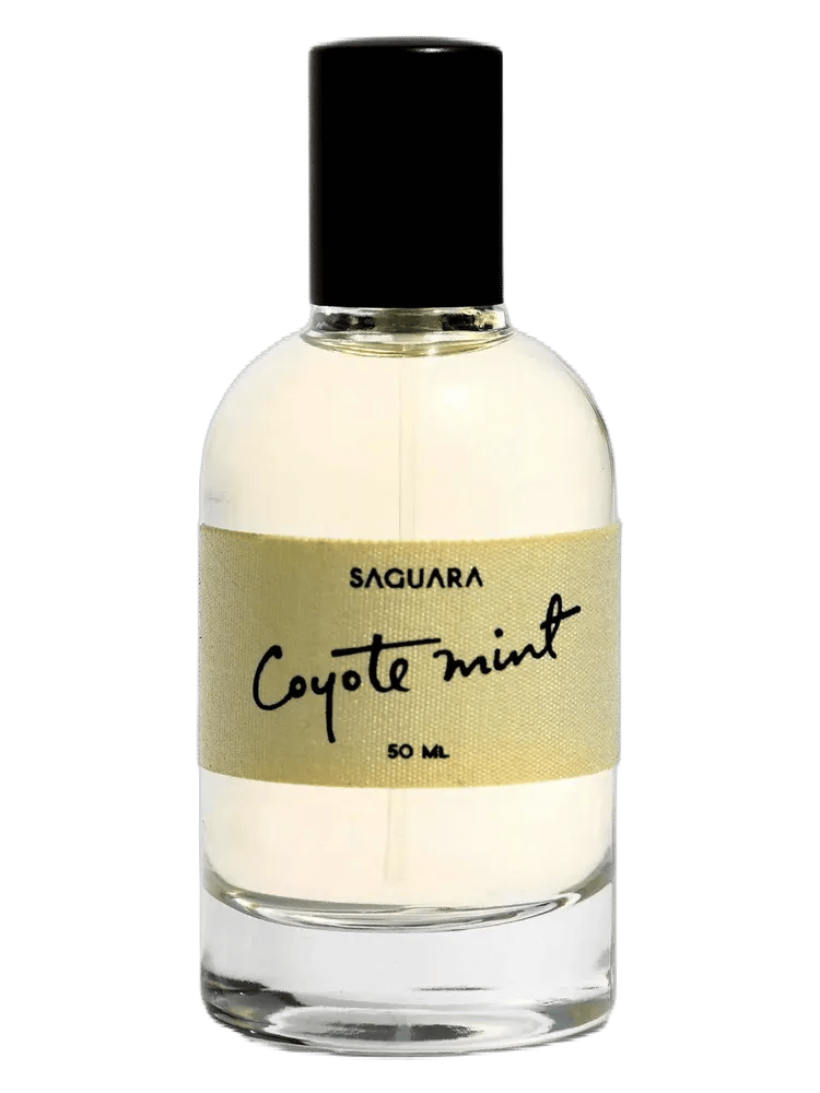 Coyote Mint by Saguara