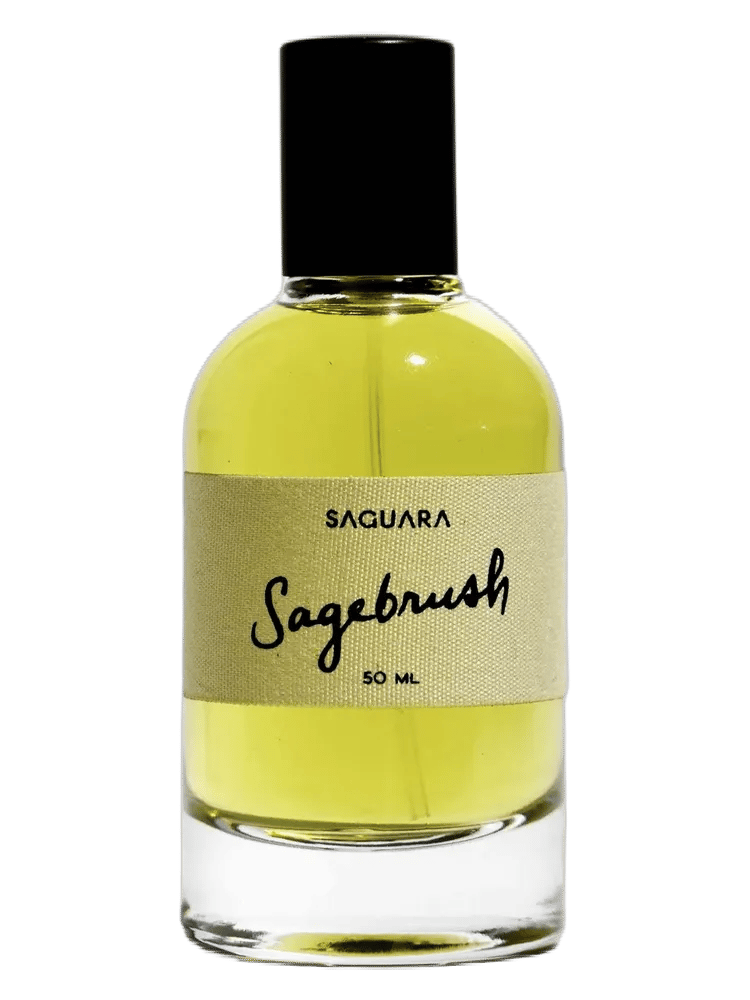 Sagebrush by Saguara
