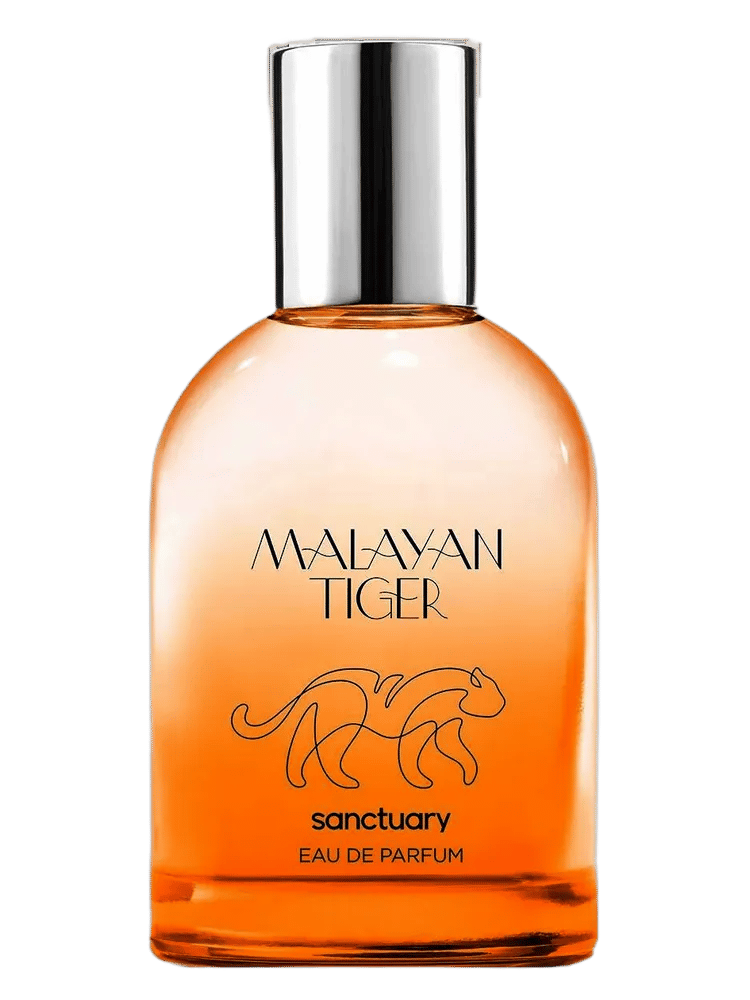 Malayan Tiger by Sanctuary