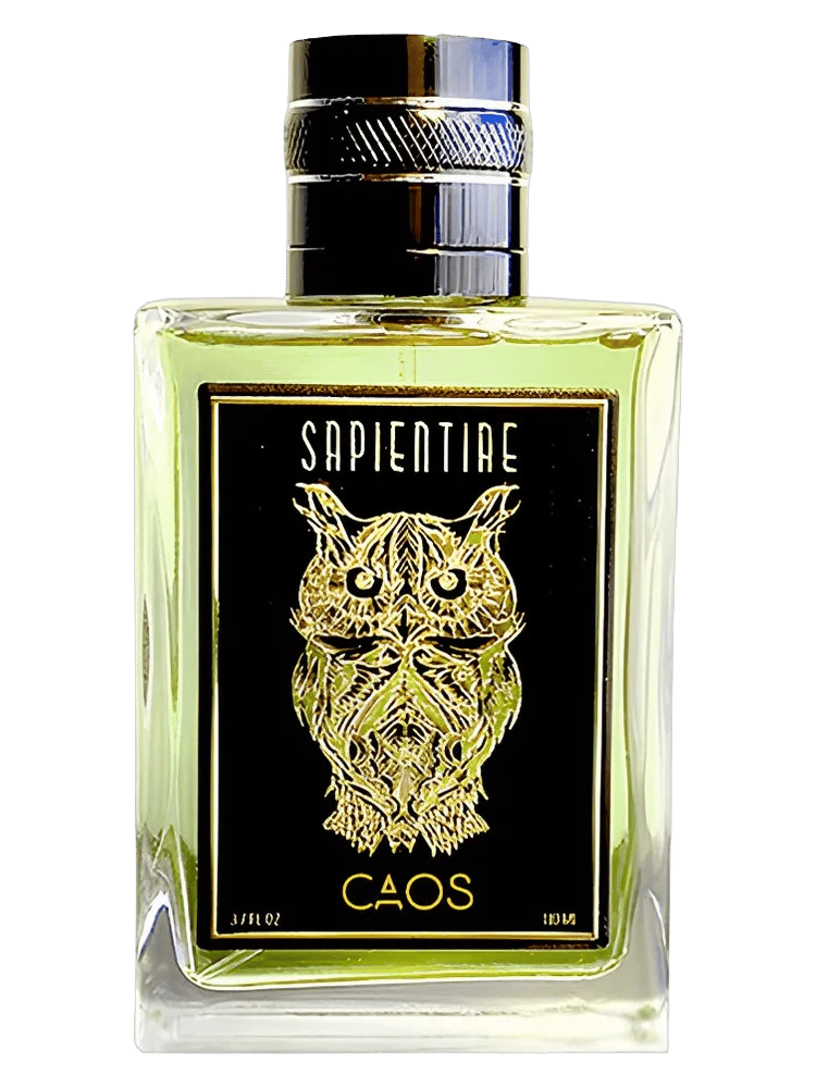 Caos by Sapientiae Niche