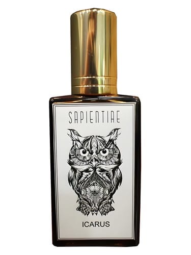 Ícarus by Sapientiae Niche