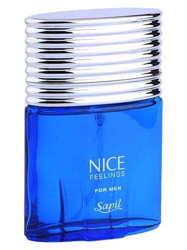 Nice Feelings by Sapil