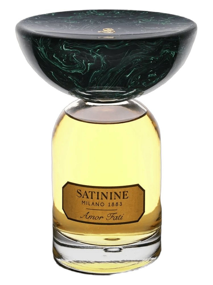 Amor Fati by Satinine