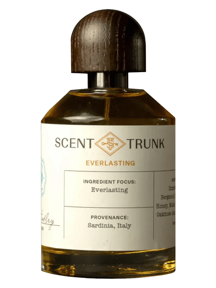 Everlasting by Scent Trunk