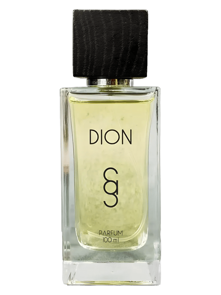 Dion by Scents and Style