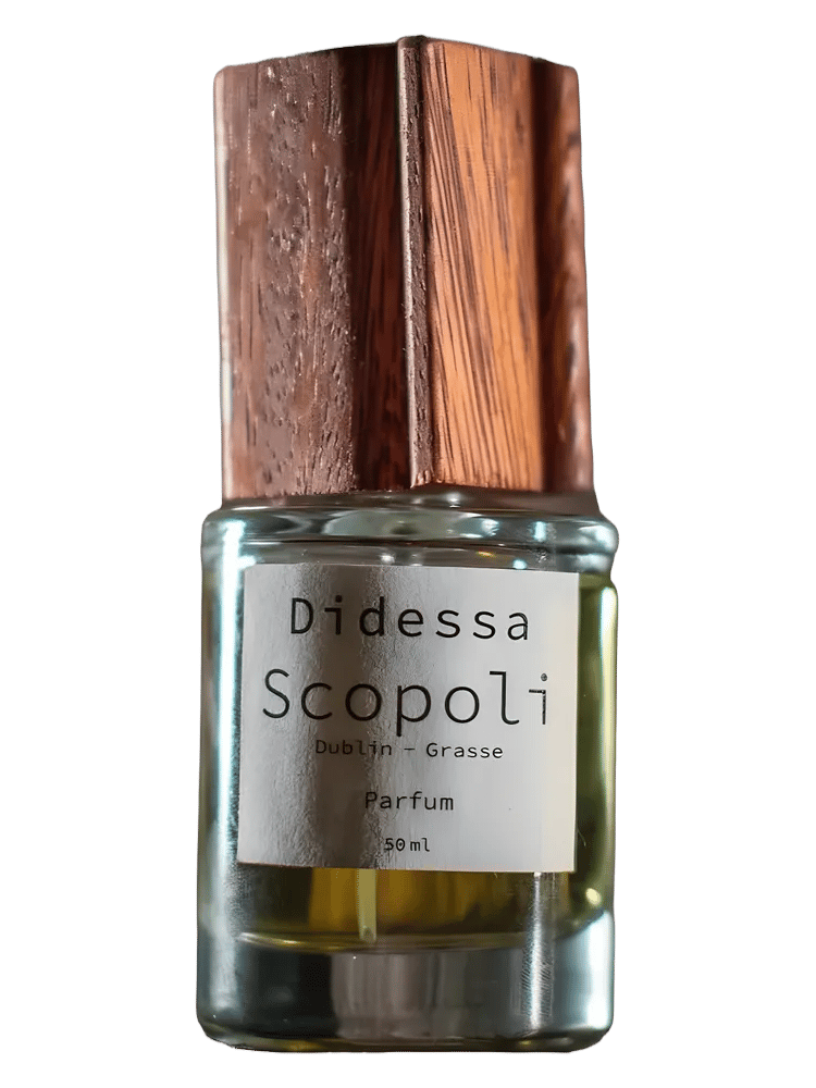 Didessa by Scopoli