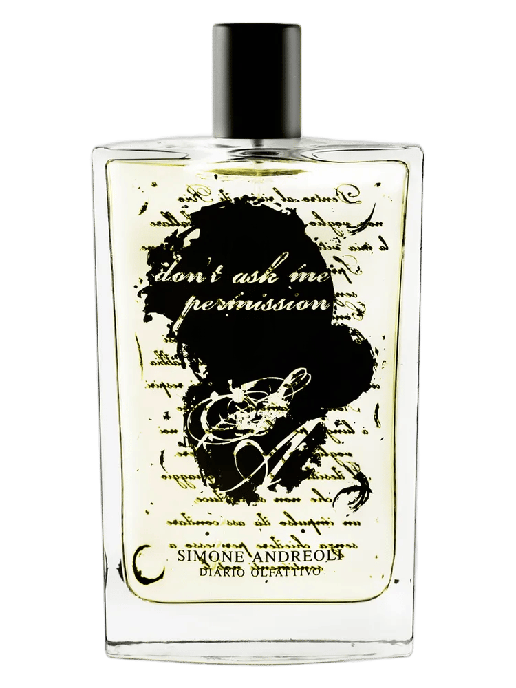 Don'T Ask Me Permission by Simone Andreoli