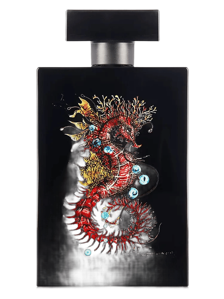Seahorse Magic by Simone Paris